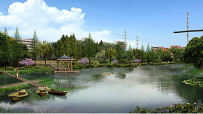 美麗鄉村概念的形成過程