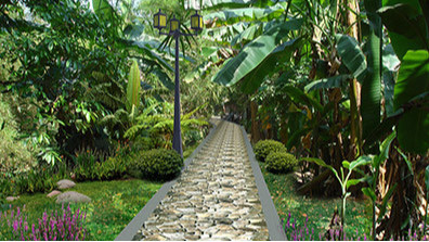 植物在生態園林景觀中的作用總結