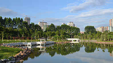 園林景觀設計運用低碳理念可以從哪幾個方面入手