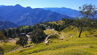 淺談共享農莊的規劃設計理念