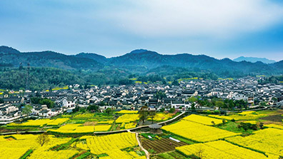 特色小鎮只注重民宿餐飲是很不夠的