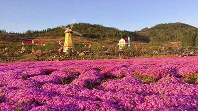 “特色小鎮”和“田園綜合體”之間有關系嗎？有融合發展的可能嗎？