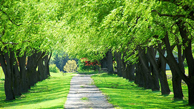 生態園林城市的園林綠化設計是非常重要的