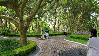 城市園林設計過程中的植物配置方法